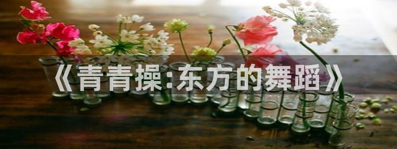 草民午夜电影院：《青青操:东方的舞蹈》