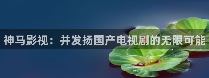 电视剧草民影院：神马影视：并发扬国产电视剧的无限可能