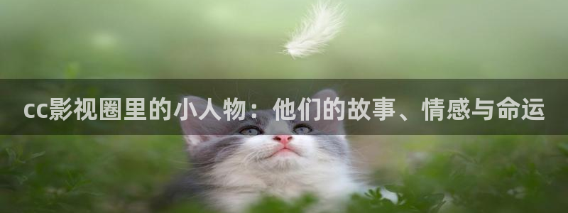 神马草民电影院：cc影视圈里的小人物：他们的故事、情感与命运