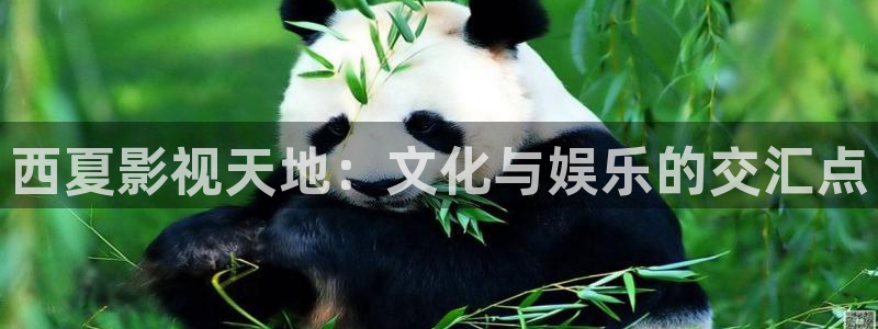 草民影院app：西夏影视天地：文化与娱乐的交汇点