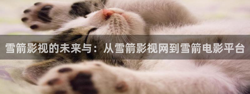 草民影视在线观看：雪箭影视的未来与：从雪箭影视网到雪箭电影平台
