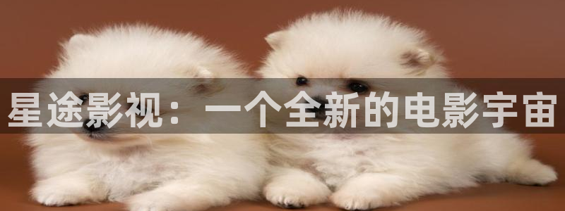 草民电影伦理：星途影视：一个全新的电影宇宙