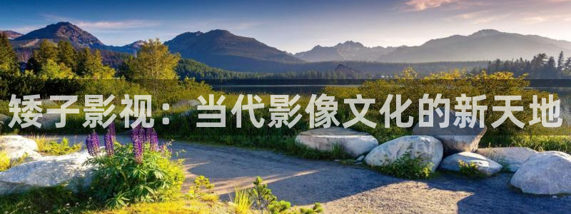 草民网理论片：矮子影视：当代影像文化的新天地